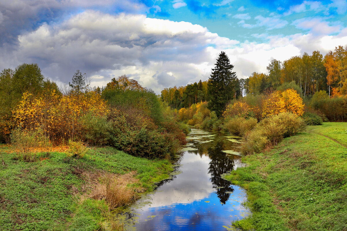 Осенний пейзаж - Светлана Казаченко