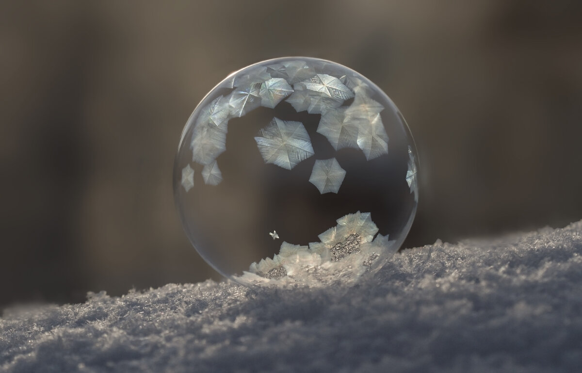 Мыльный пузырь - Андрей Пристяжнюк
