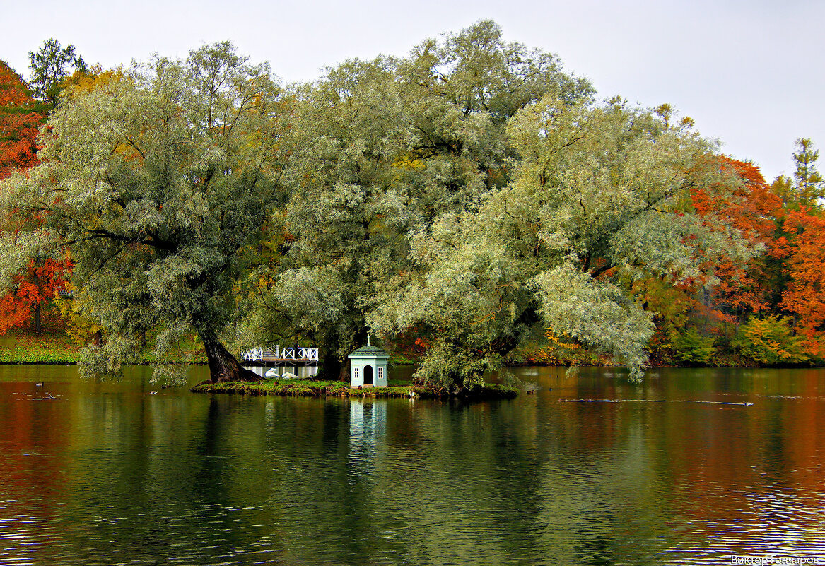 Озеро Гатчино Смоленская область