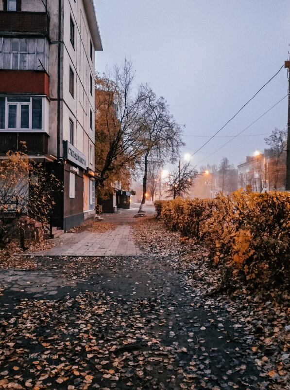 Осенний город - Sergei Vikulov