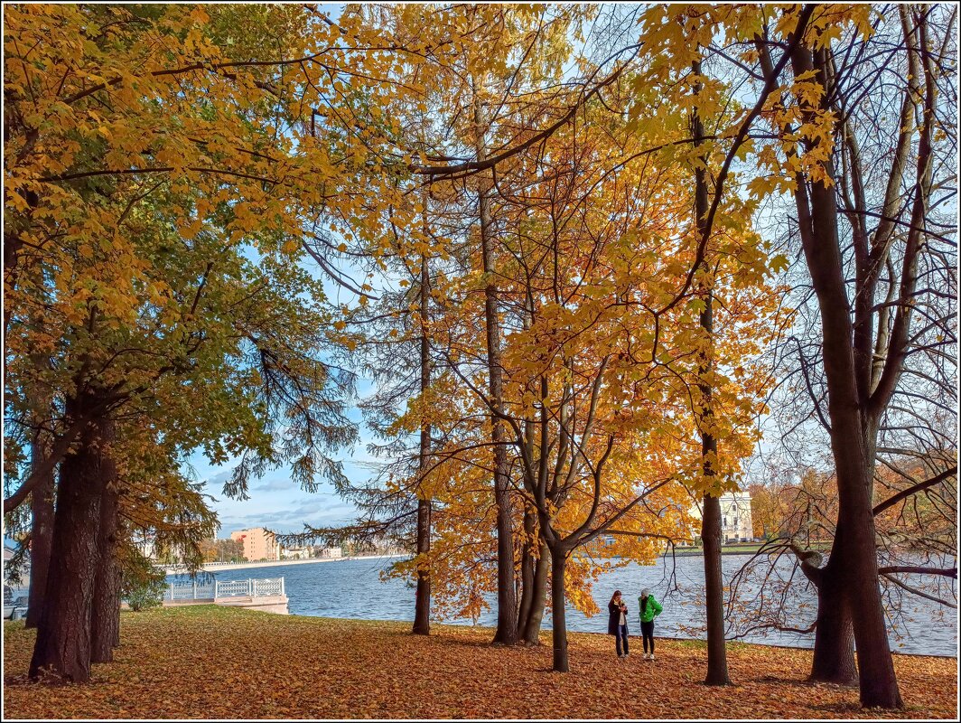 Осенний этюд в парке - Любовь Зинченко 