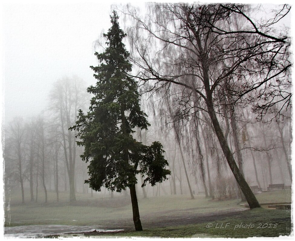 Холодный туман - Liudmila LLF