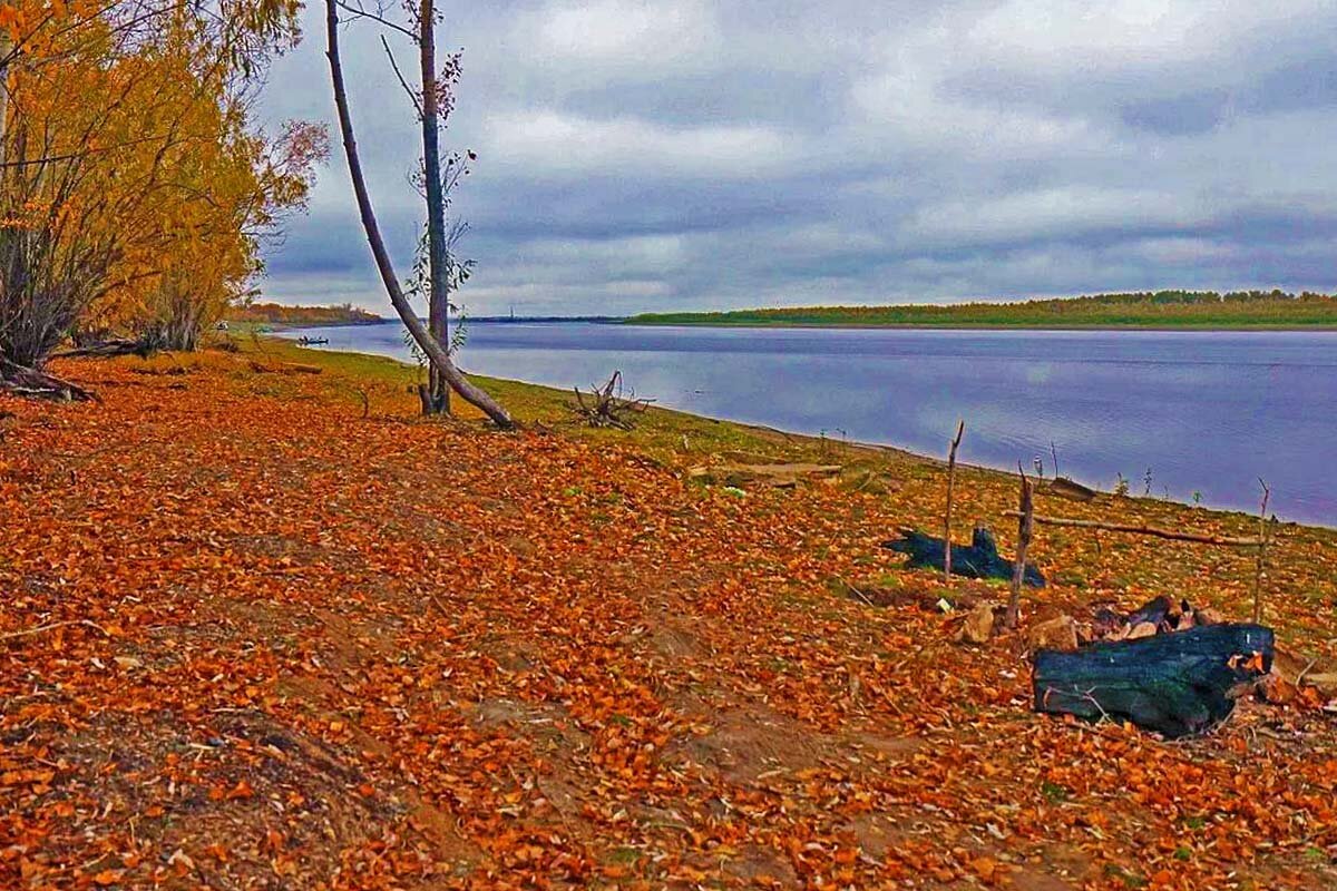 Река Обь, рыбацкие кострища на берегу - Владимир 