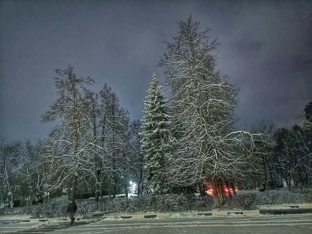 Первый снег - Алексей Архипов