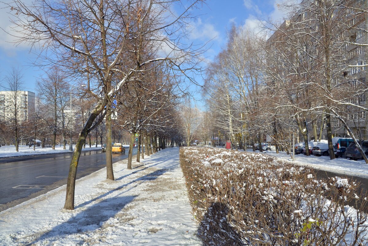 Первый снег - Oleg4618 Шутченко