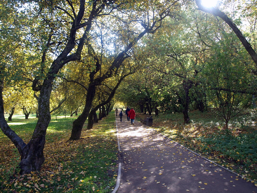 Осень в парке Коломенском. - Владимир Драгунский
