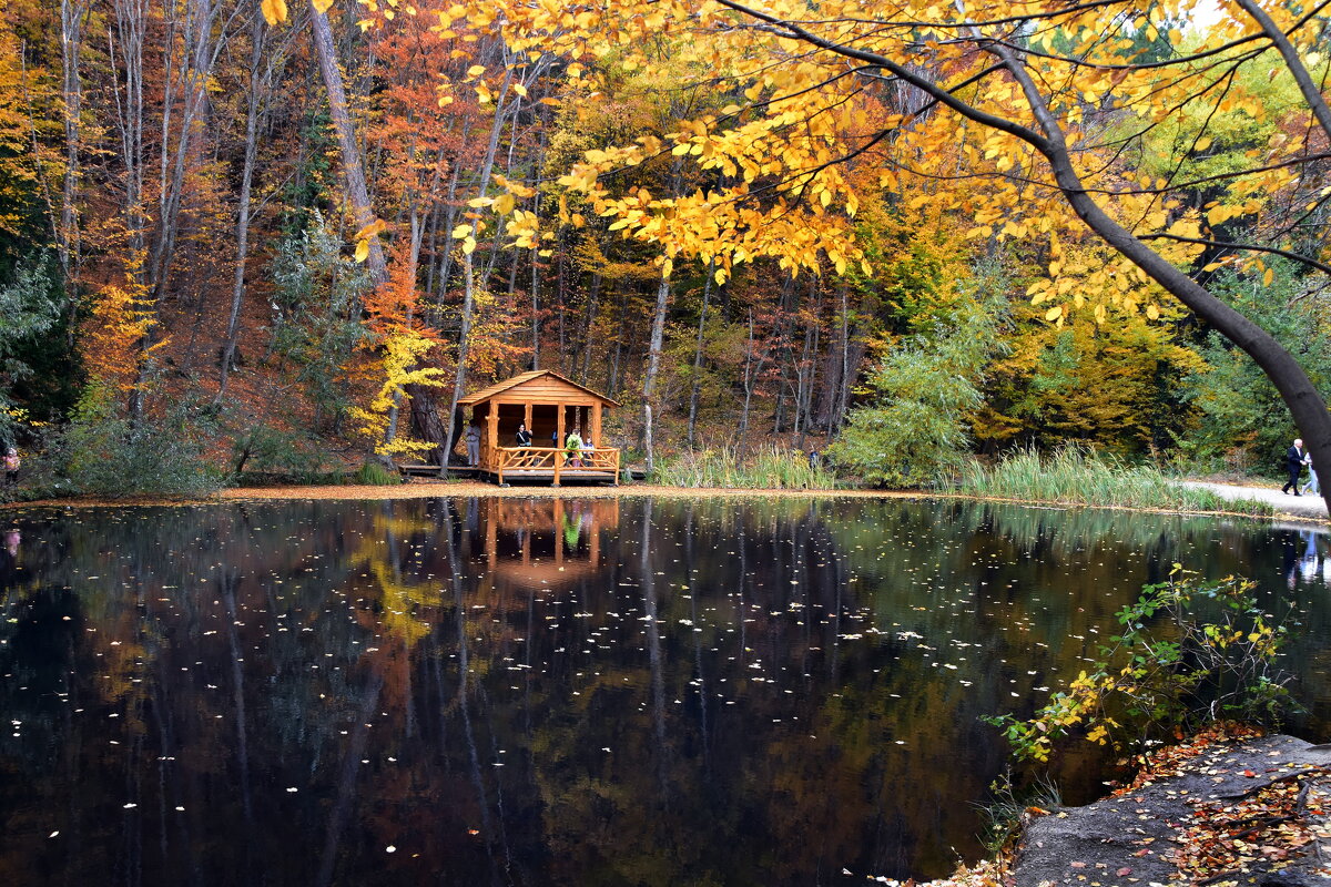 Осень на Черепаховом озере - Ольга Голубева