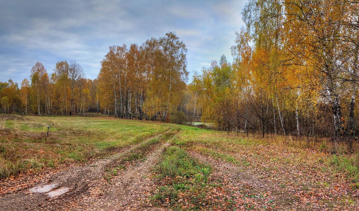 Осенний пейзаж - Константин 