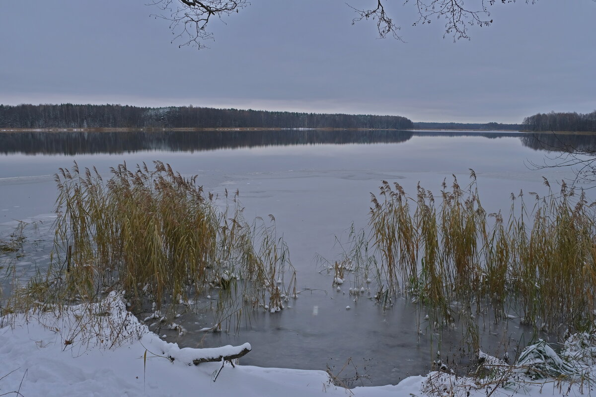 Белобережское озеро. Ноябрь - Евгений 