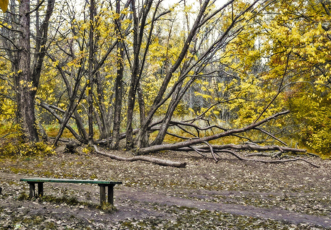 Скамейка в парке - Александр Семенов