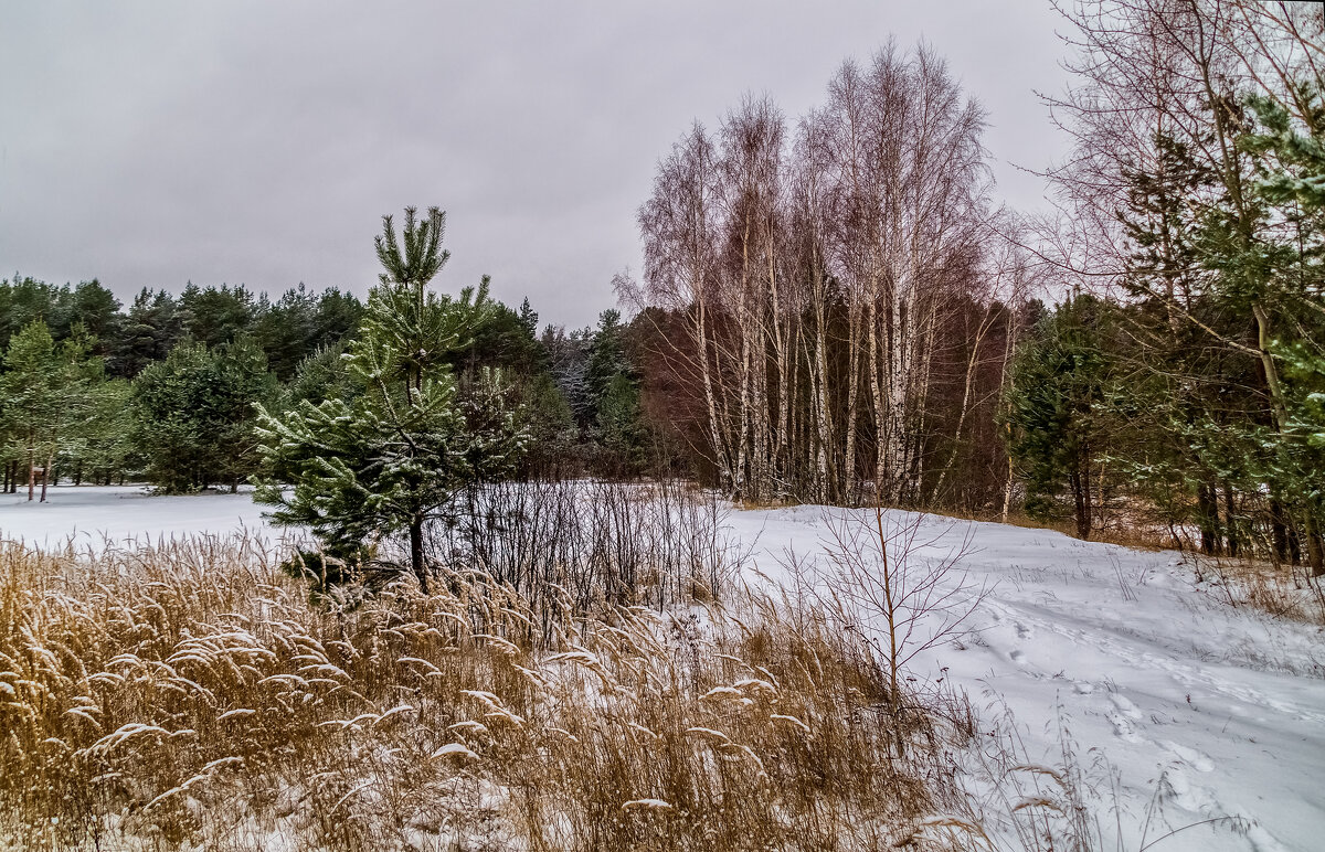 Осенний снег... - Андрей Дворников
