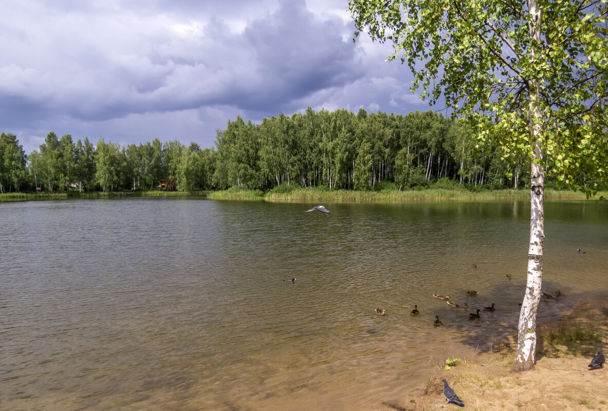 Летом на озере - Сергей Цветков