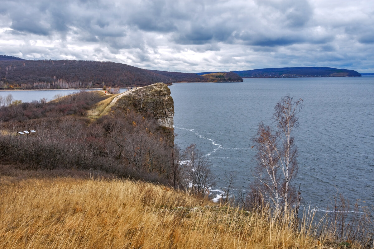 Железный волк Самарская лука