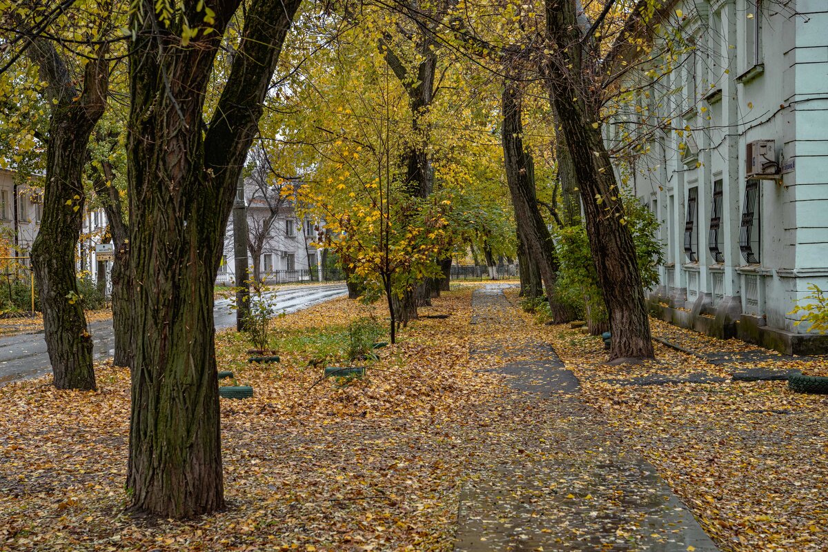 Осень на Бабушкина - Константин Бобинский