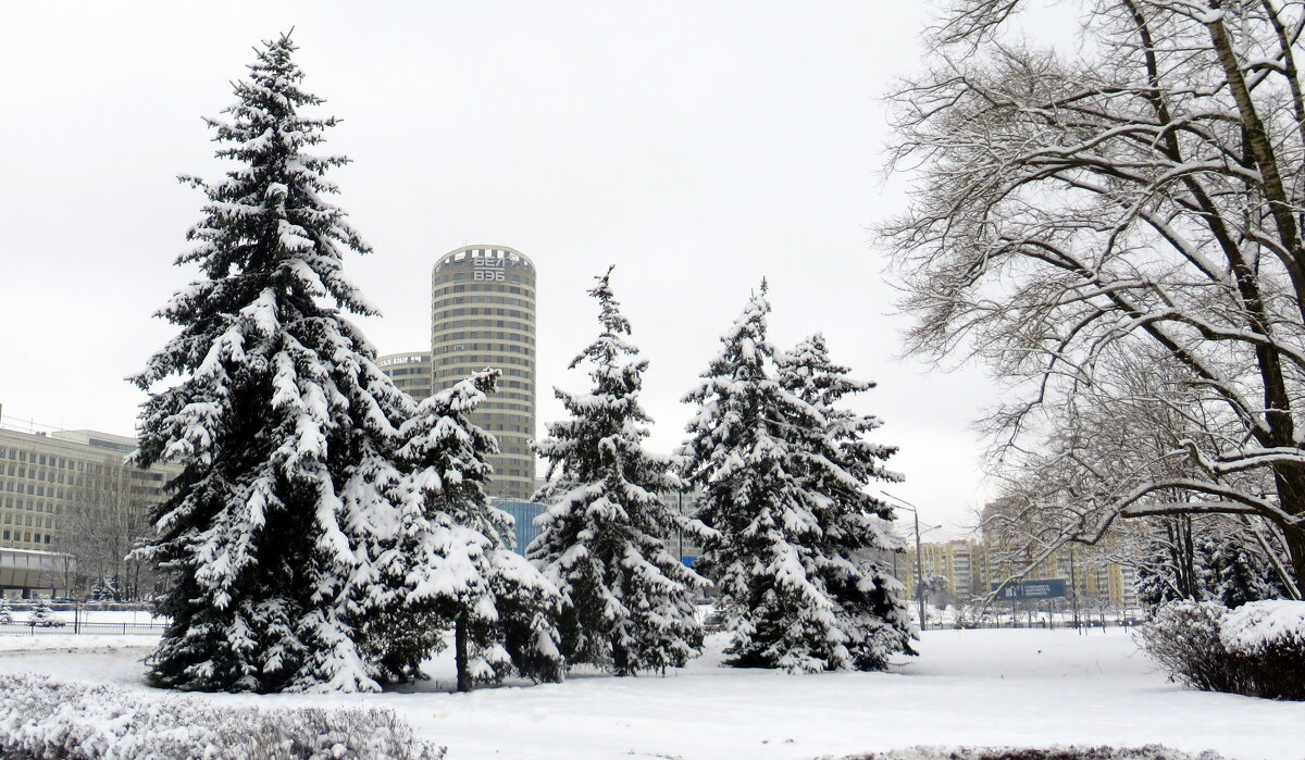 Зима в городе - Ирина Олехнович