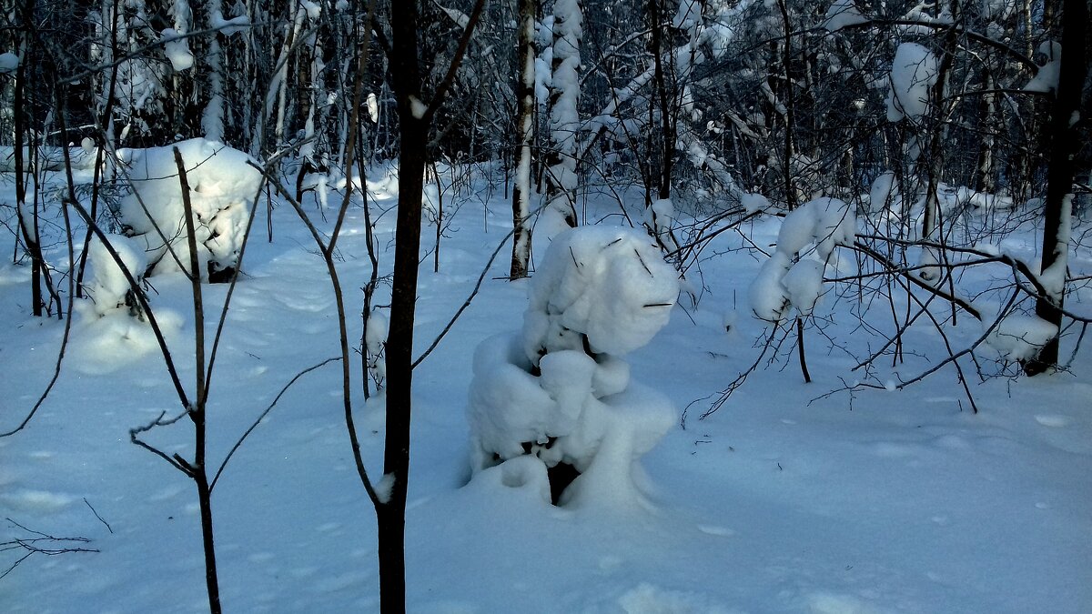 сотворение природой - Владимир 