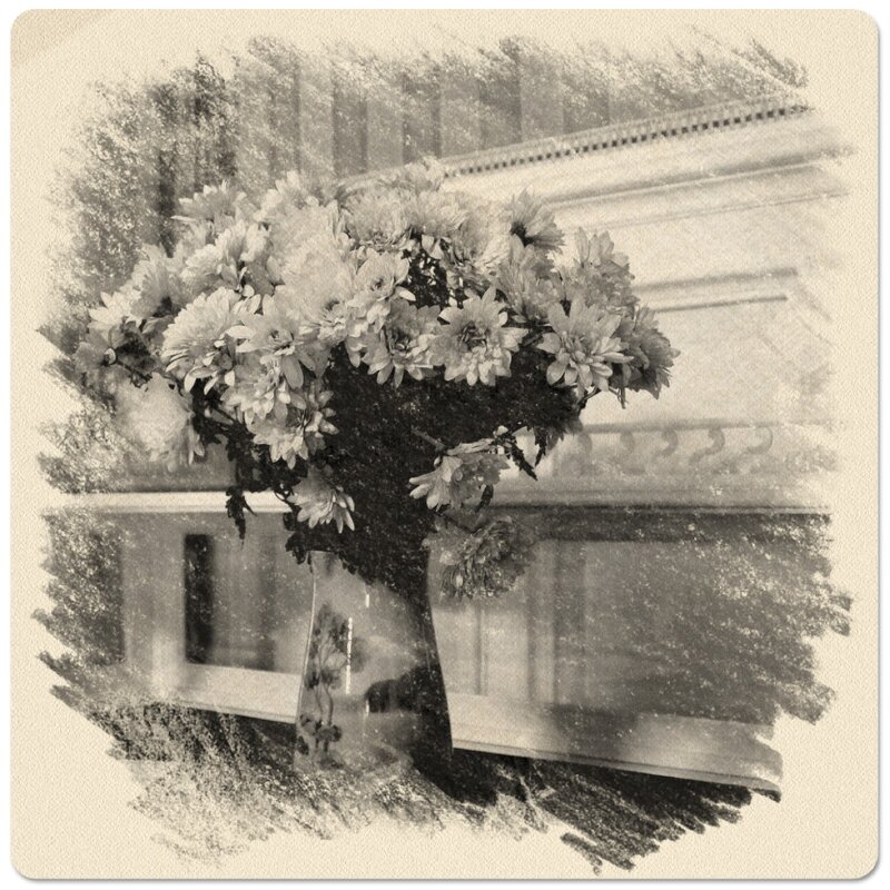 Мои любимые хризантемы... - Tatiana Markova