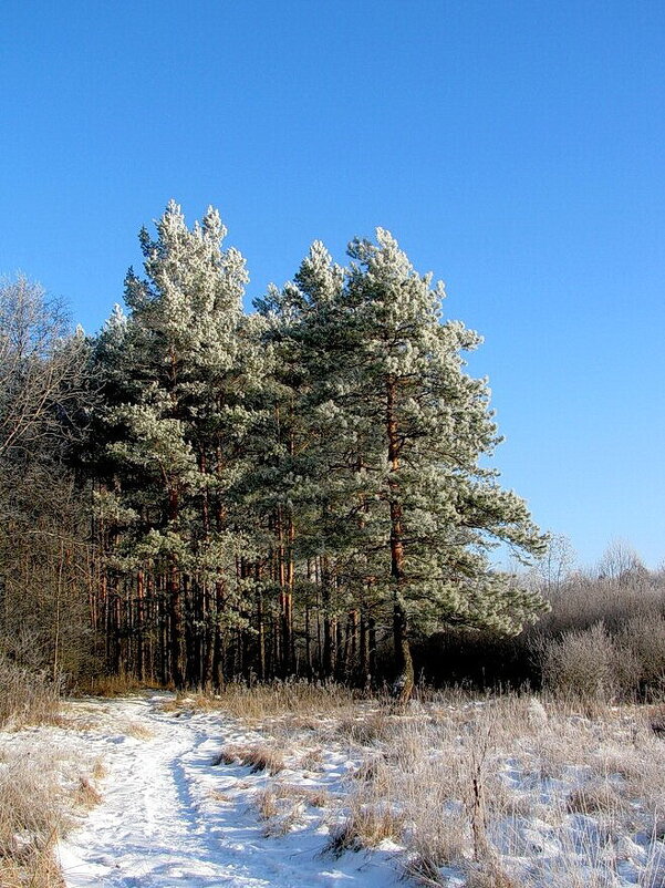 Красивое местечко - Людмила Смородинская