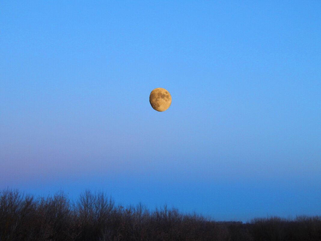 восход Луны - Alisa Koteva 