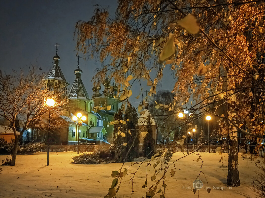 Деревянный храмовый комплекс в Белгороде - Игорь Сарапулов