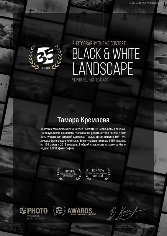 сайт 35 Черно белый пейзаж - tamara kremleva