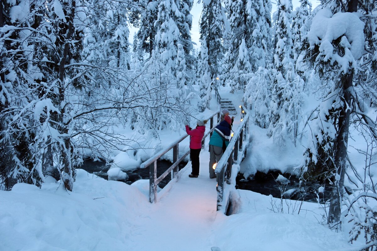 Зима в Лапландии - Ольга 
