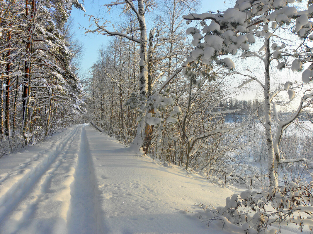 Зимняя дорога у озера Силанде на Карельском перешейке - Стальбаум Юрий 