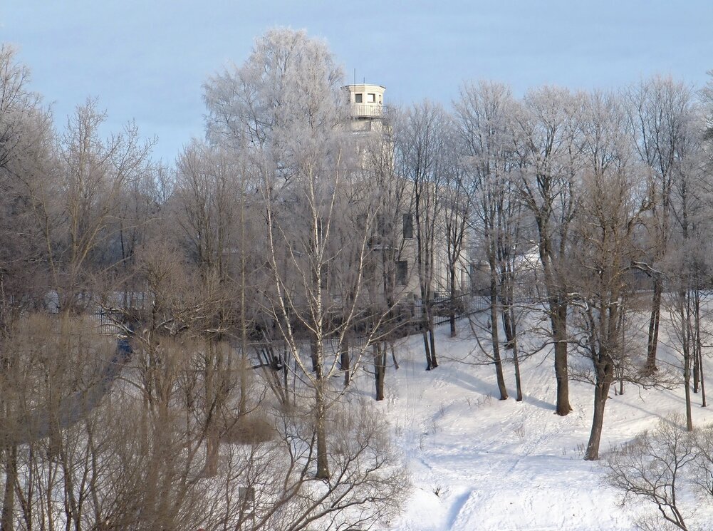 В парке зимой - Вера Щукина