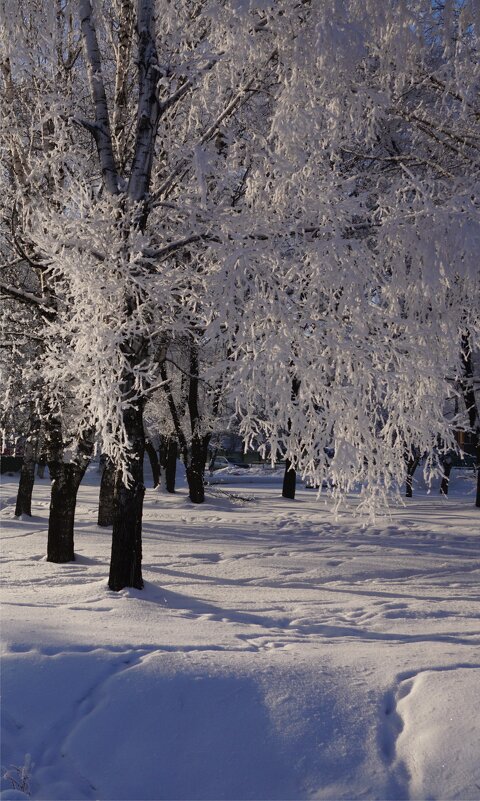 Морозное утро - Наталия Григорьева