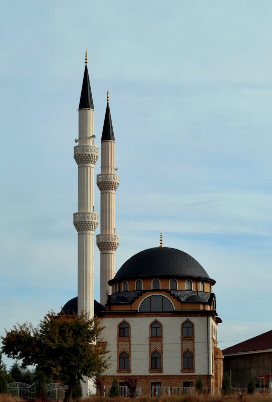 Мечеть - Владимир Моисеев
