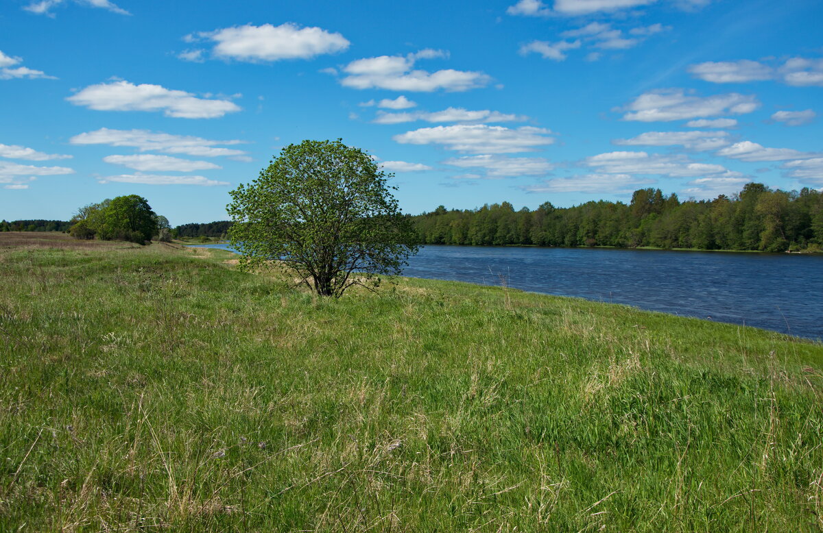 Пейзаж с рекой - lady v.ekaterina