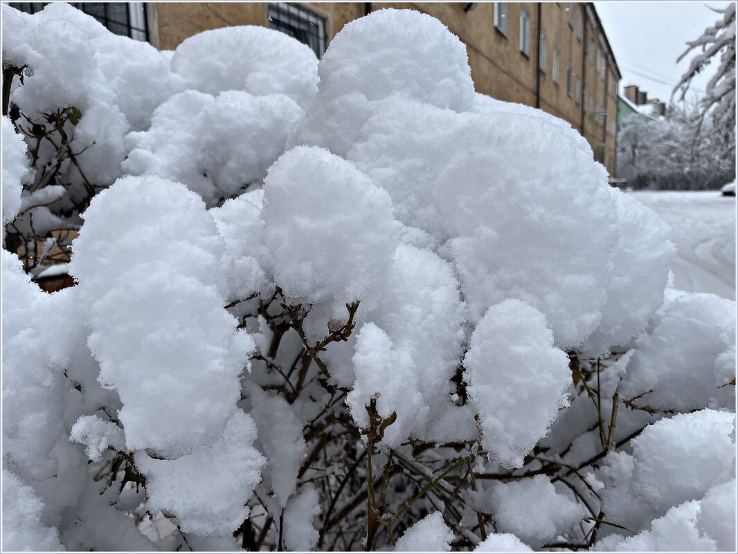 Снег... - Валерия Комова
