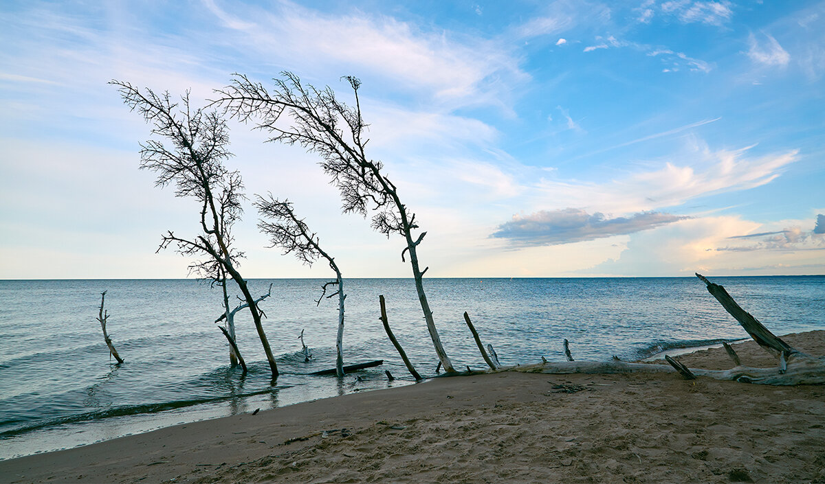 Клонит к морю - Genych Bartkus