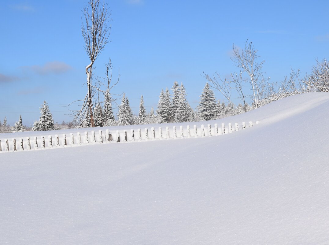 После снежной бури - Танзиля Завьялова