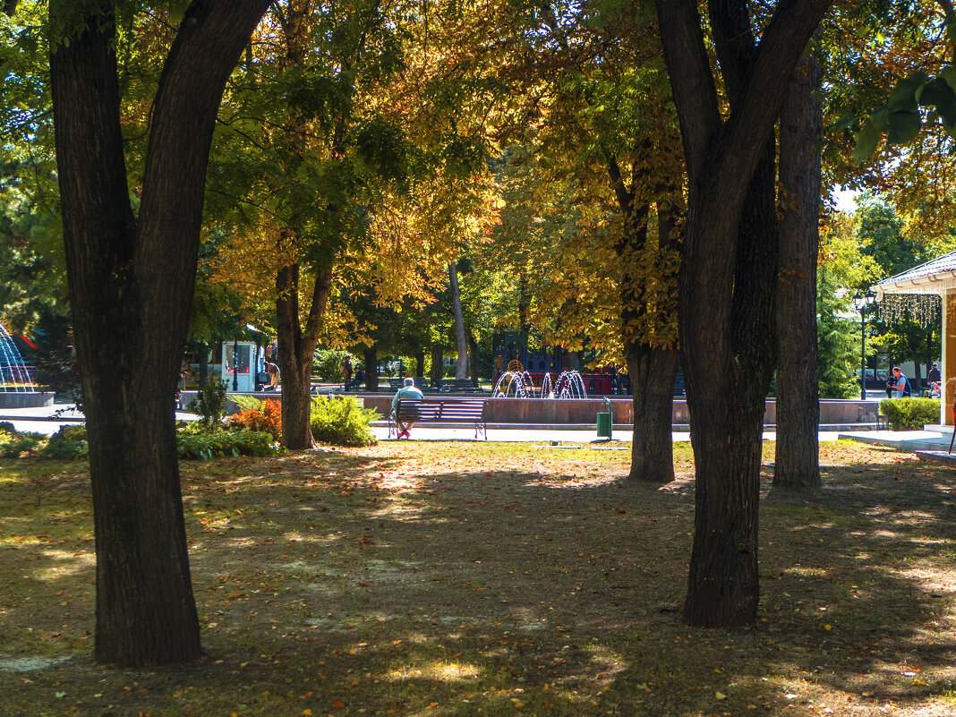 Осень в парке  Тренёва - Валентин Семчишин