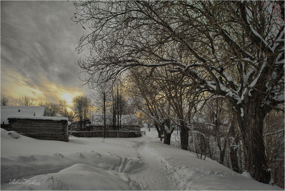"Бывалые стражи. Зима у деревни"© - Владимир Макаров