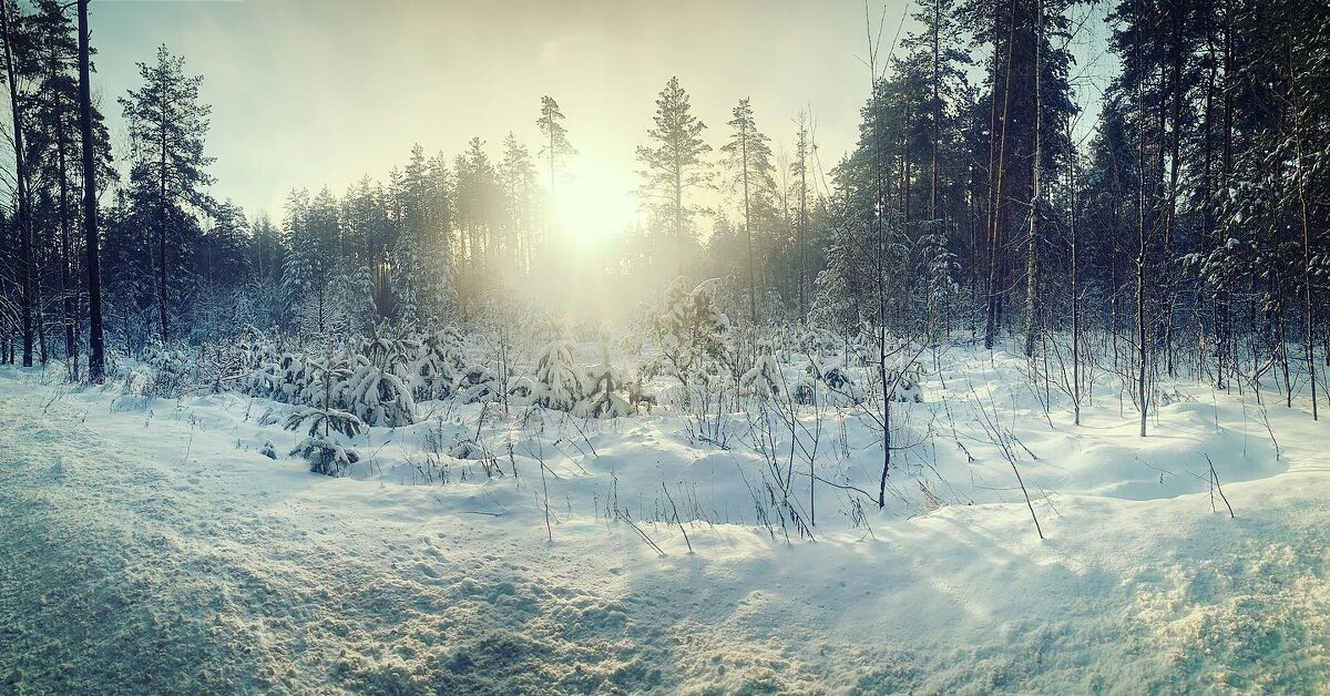 Зима красива... - алексей афанасьев