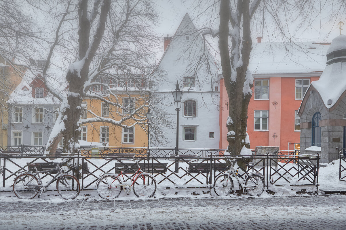 FEP Fotograaf Arkadi Baranov, Tallinn - Аркадий  Баранов Arkadi Baranov