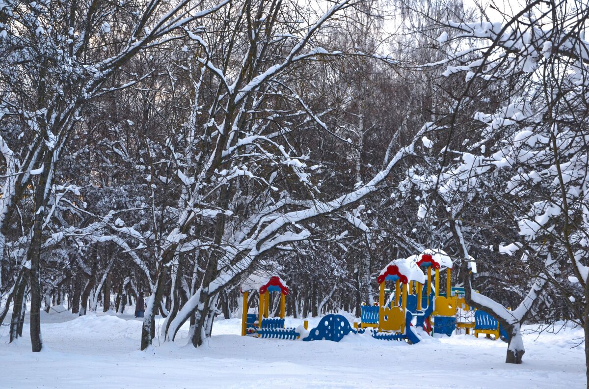 Зимой в парке. - Александра Климина