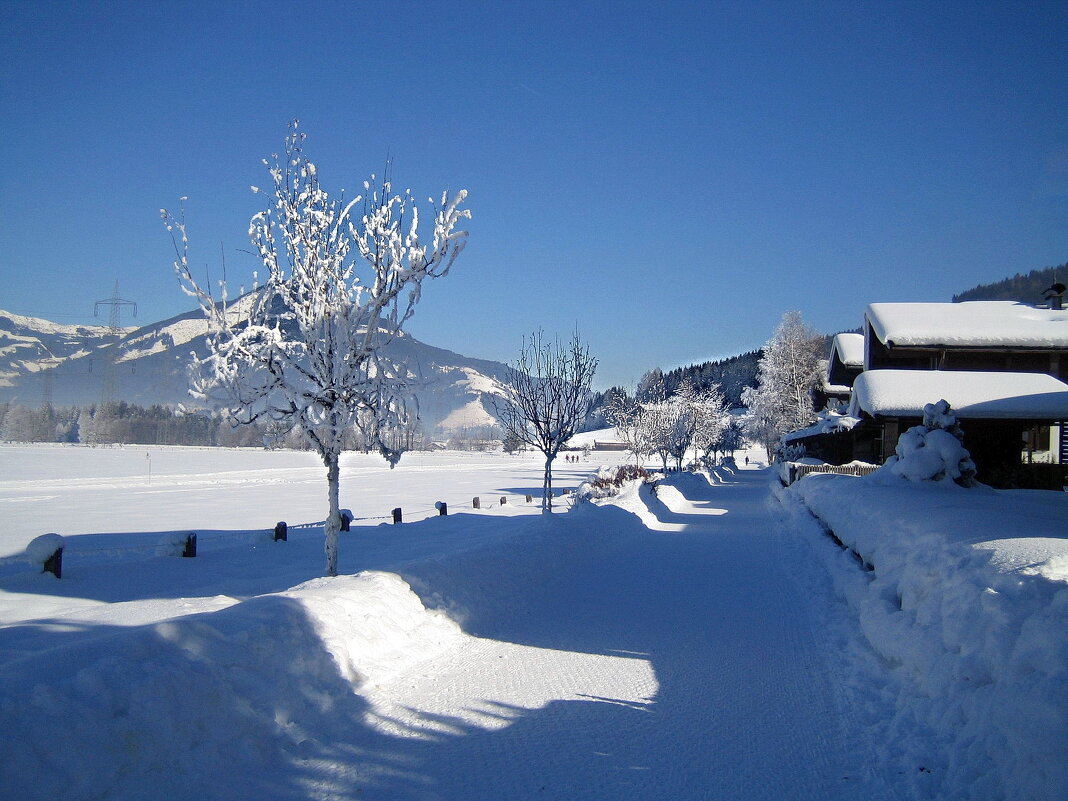 Альпийская зима - ZNatasha -
