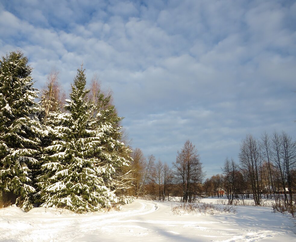 В зимний день - Андрей Снегерёв