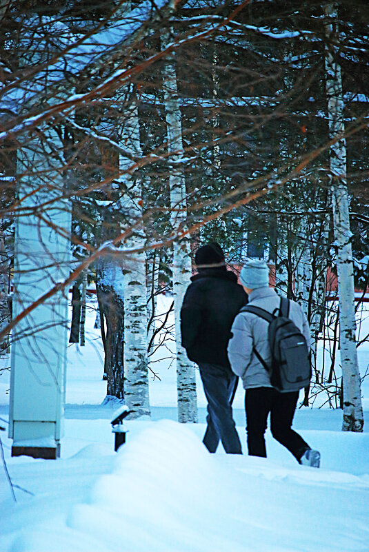 В снежном сумраке парка.. - Владимир 