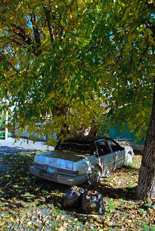 Осенний Cadillac - M Marikfoto