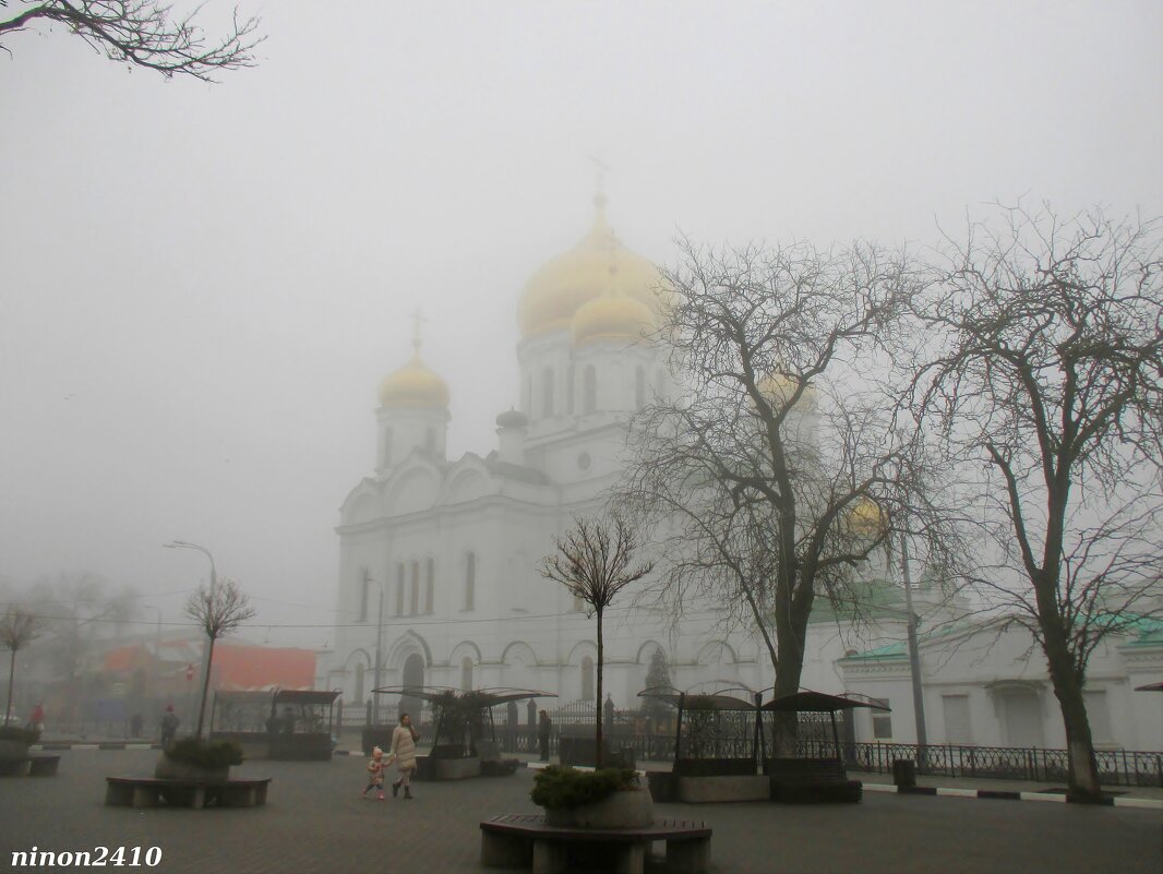 Всё в тумане - Нина Бутко