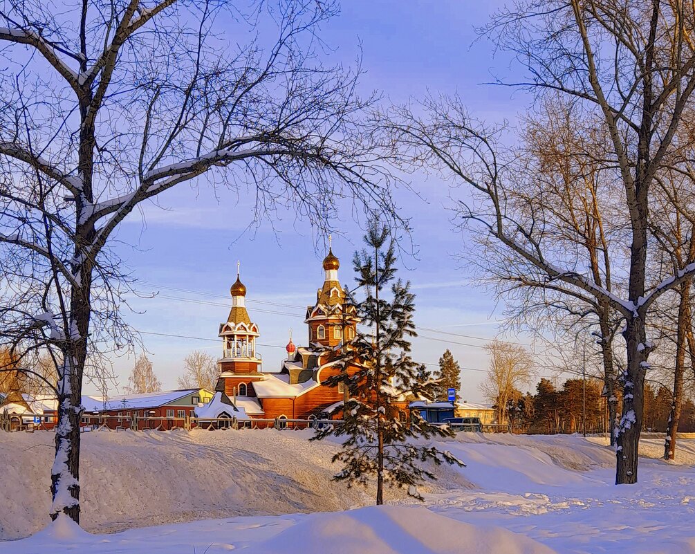 Солнечный декабрьский день . - Мила Бовкун