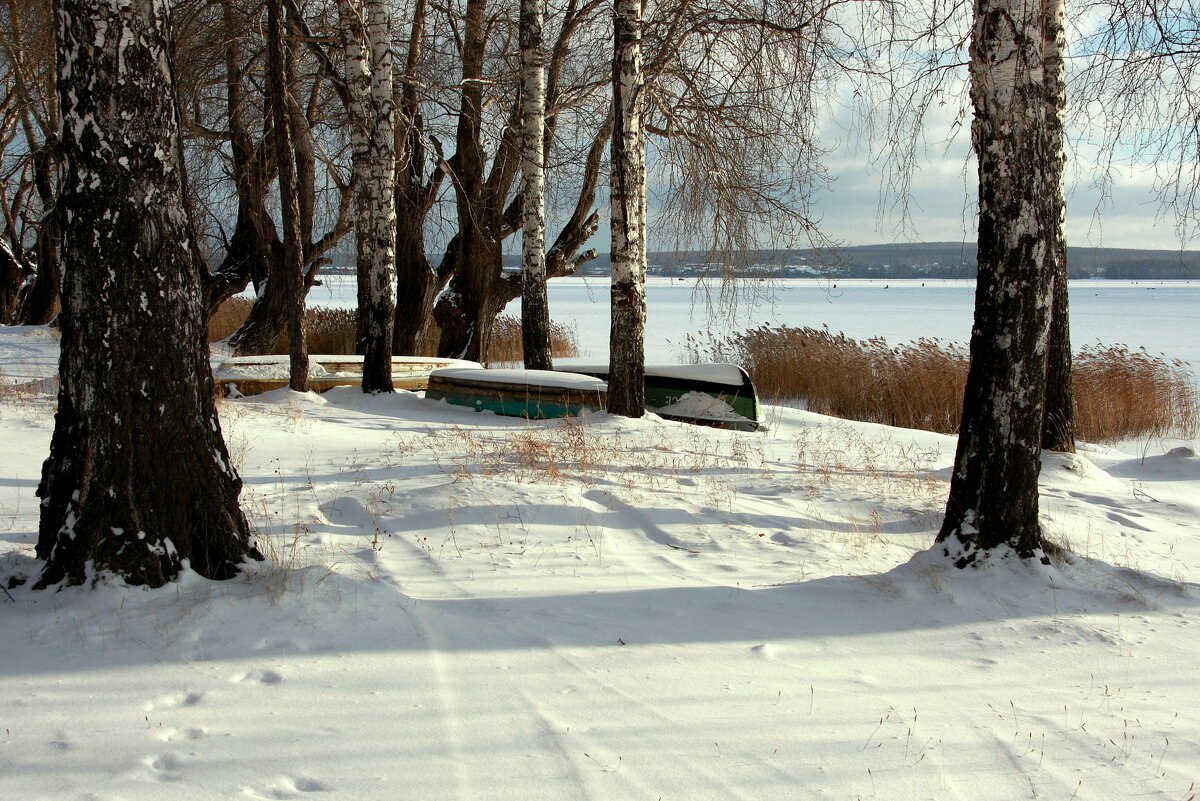 Лодки у зимнего пруда... - Нэля Лысенко