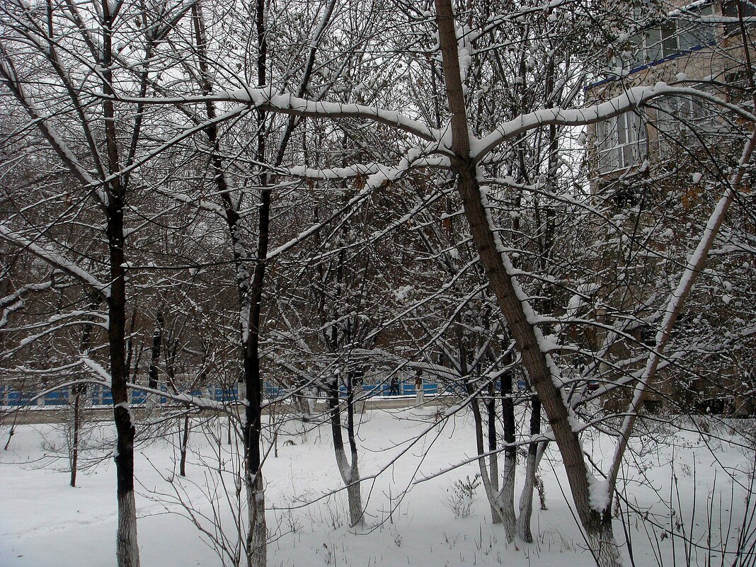 Зимний день - Светлана SvetNika17