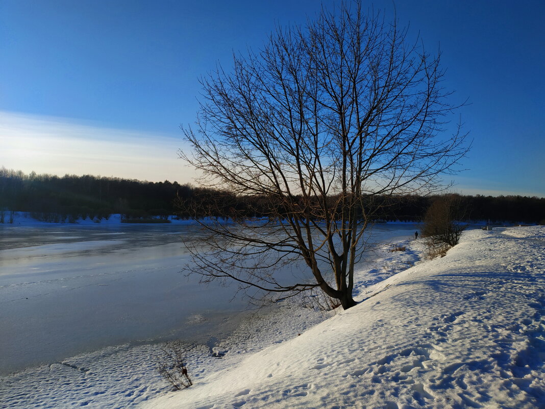 Попытка снять зимний пейзаж в январе - Андрей Лукьянов