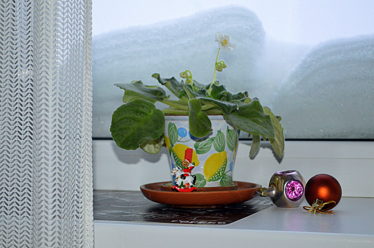 Зимнее моё окно - Татьяна Лютаева