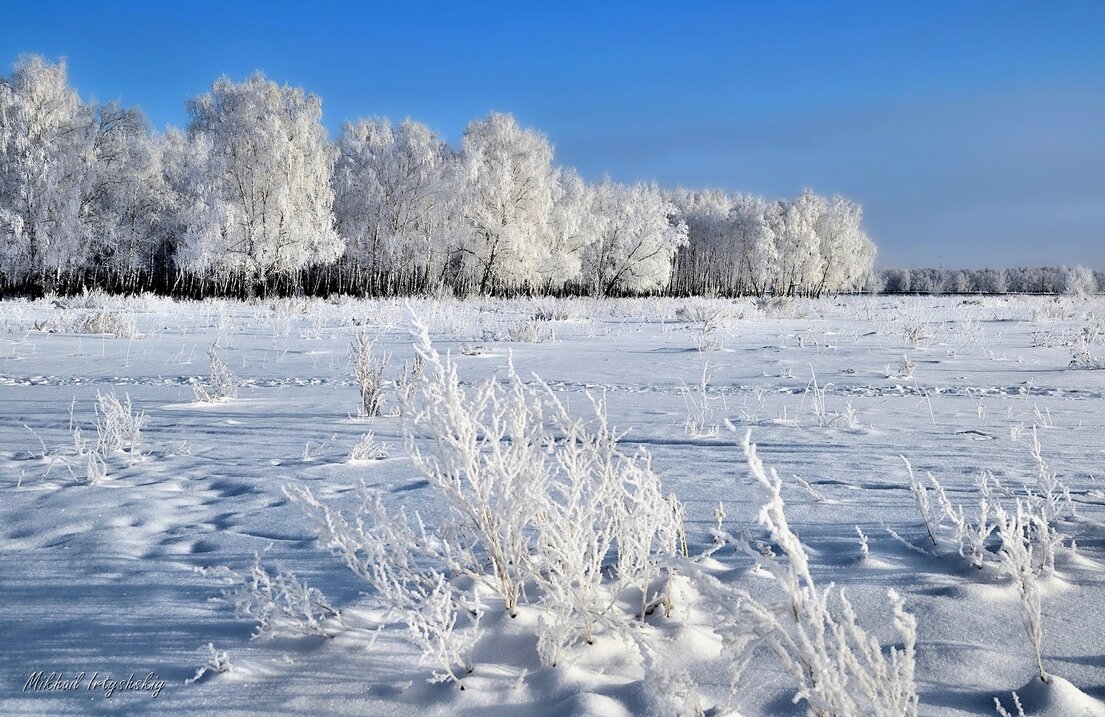 Зимний день - Mikhail Irtyshskiy